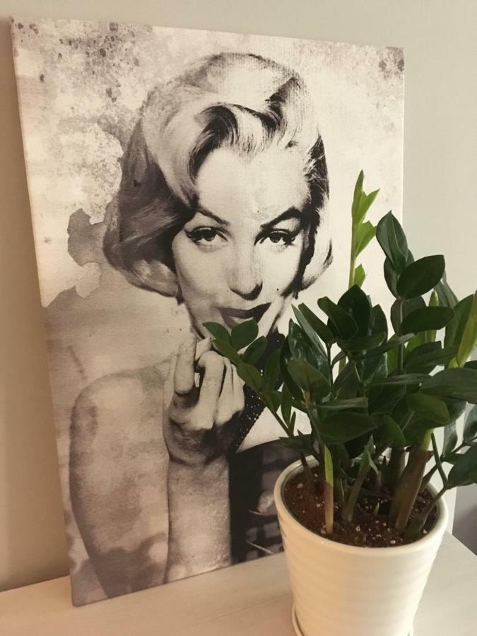 Apartament Studencka Jelenia Góra Eksteriør billede